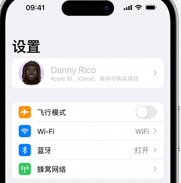 阳原appleID维修服务iPhone设置中Apple ID显示为灰色无法使用 