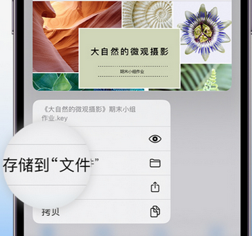 阳原apple维修中心分享iPhone文件应用中存储和找到下载文件