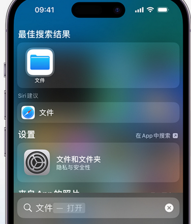 阳原apple维修中心分享iPhone文件应用中存储和找到下载文件 