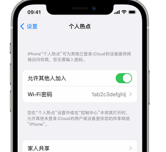 阳原apple服务站点分享iPhone上个人热点丢失了怎么办 