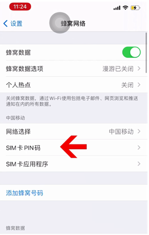 阳原苹果14维修网分享如何给iPhone14的SIM卡设置密码 