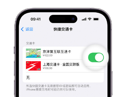 阳原apple维修点分享iPhone上更换Apple Pay快捷交通卡手绘卡面 