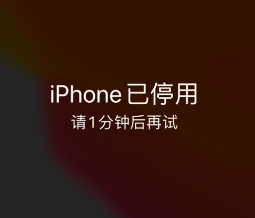 阳原苹果手机维修分享:iPhone 显示“不可用”或“已停用”怎么办？还能保留数据吗？ 