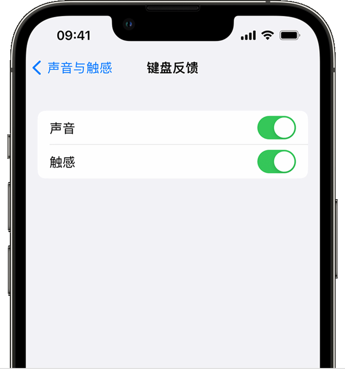 阳原苹果14维修店分享如何在 iPhone 14 机型中使用触感键盘 