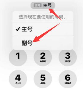 阳原苹果14维修店分享iPhone 14 Pro Max使用副卡打电话的方法 