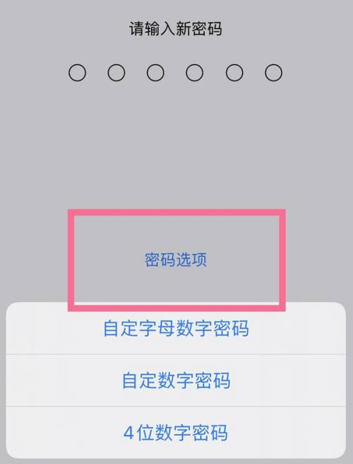 阳原苹果14维修分享iPhone 14plus设置密码的方法 