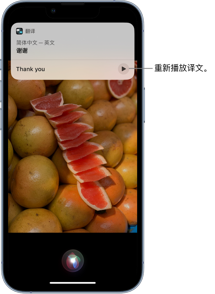 阳原苹果14维修分享 iPhone 14 机型中使用 Siri：了解 Siri 能帮你做什么 