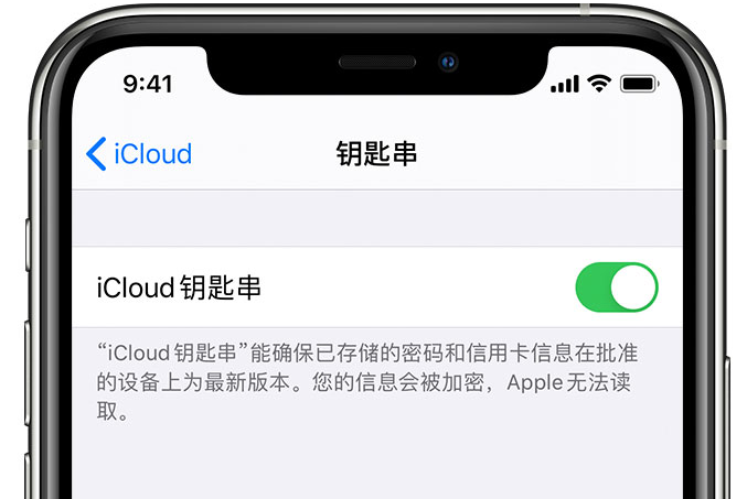 阳原苹果手机维修分享在 iPhone 上开启 iCloud 钥匙串之后会储存哪些信息 