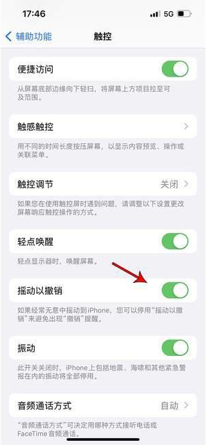 阳原苹果手机维修分享iPhone手机如何设置摇一摇删除文字 