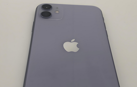 阳原苹果11系统维修分享iPhone11手机系统崩溃无法开机如何解决